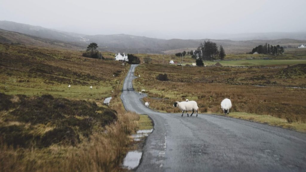 Driving on a UK road in the summer